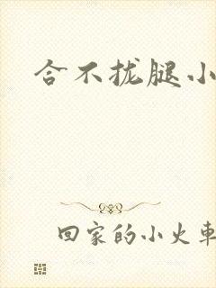 合不拢腿小说