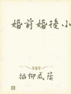 婚前婚后小说