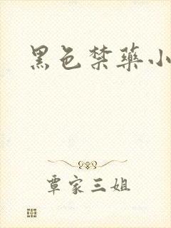 黑色禁药小说封面