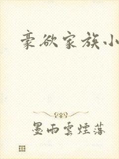豪欲家族小说