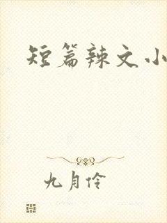 短篇辣文小说