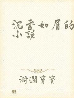 沉香如屑的原著小说