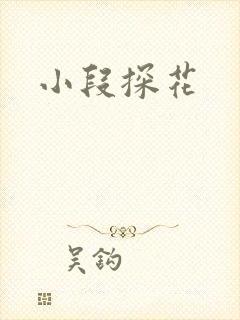 小段探花封面