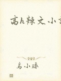 高h辣文小说