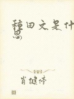 种田文是什么意思封面
