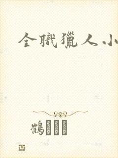 全职猎人小说