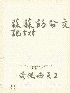 苏苏的公交车日记txt