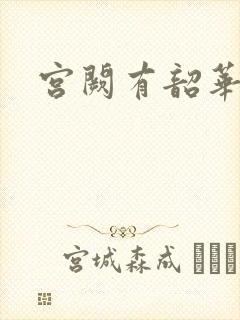 宫阙有韶华