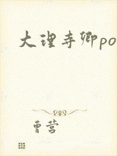 大理寺卿po