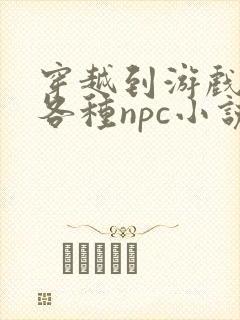 穿越到游戏里和各种npc小说封面