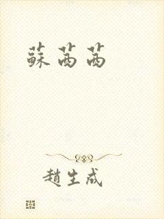 苏茜茜封面