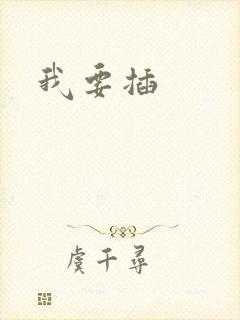 我要插