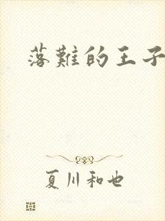 落难的王子封面