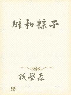 维和粽子