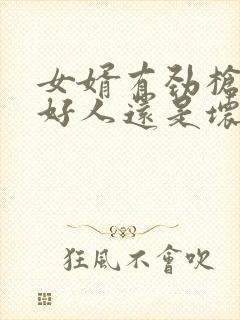 女婿有劲枪枪是好人还是坏人