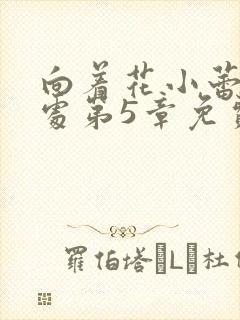 向着花小蕾的深处第5章免费阅读