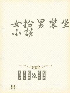 女扮男装坐江山小说