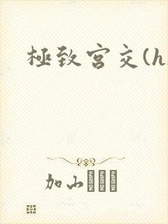 极致宫交(h)