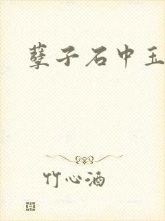 孽子石中玉