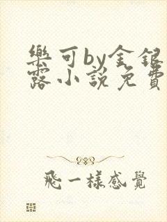 乐可by金银花露小说免费阅读