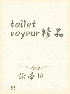toilet voyeur精品