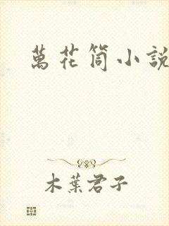 万花筒小说