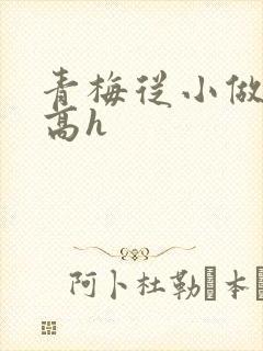 青梅从小做到大高h