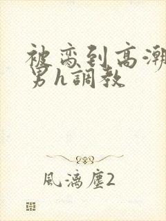 被脔到高潮的直男h调教封面