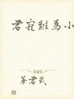 君宠难为小说封面