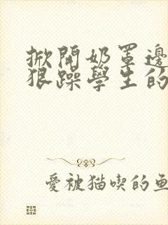 掀开奶罩边躁狠狠躁学生的小文字