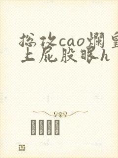 总攻cao烂皇上屁股眼h