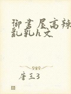 御书屋高辣h文乱乳h文