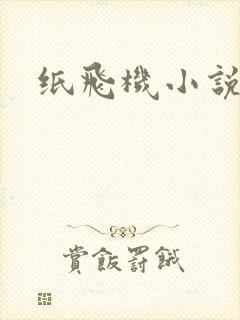 纸飞机小说