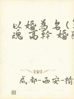 以婚为名 (军魂 高干 婚恋)