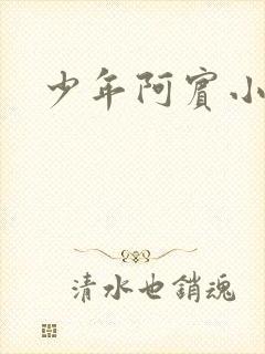 少年阿宾小说