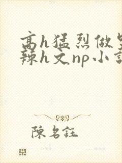 高h猛烈做哭高辣h文np小说
