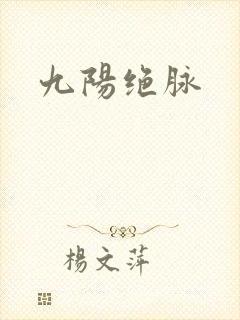 九阳绝脉封面