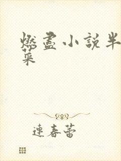 燃尽小说半截白菜封面