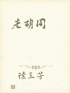 老胡同