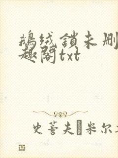 鹅绒锁未删除笔趣阁txt