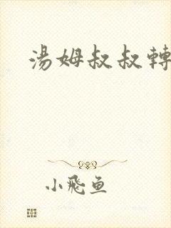 汤姆叔叔转接口