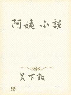 阿姨 小说