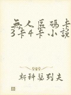 无人区码卡二卡3卡4卡小说封面