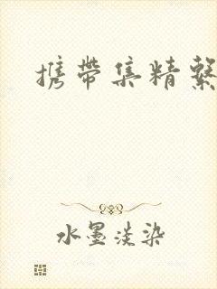 携带集精系统