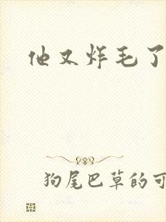他又炸毛了