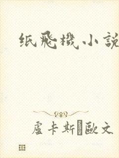 纸飞机小说