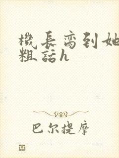 机长脔到她哭h粗话h