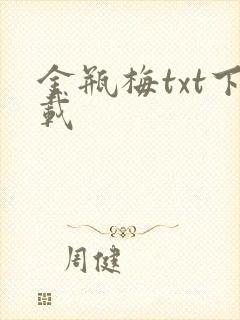 金瓶梅txt下载封面