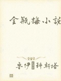 金瓶梅小说在线