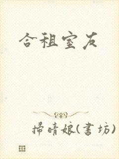 合租室友